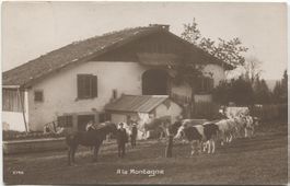 LANDWIRTSCHAFT/ALPWIRTSCHAFT 1920 mit Pferd und Kuh JU/NE?