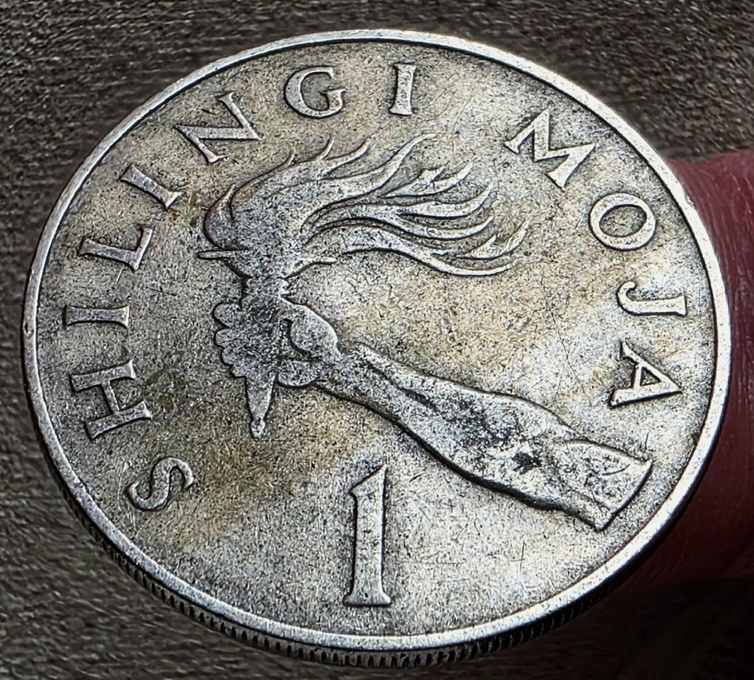 Tutti le monete: TANSANIEN 1 SHILINGI 1966 – Usato da winterthur venduto da CoinPassion