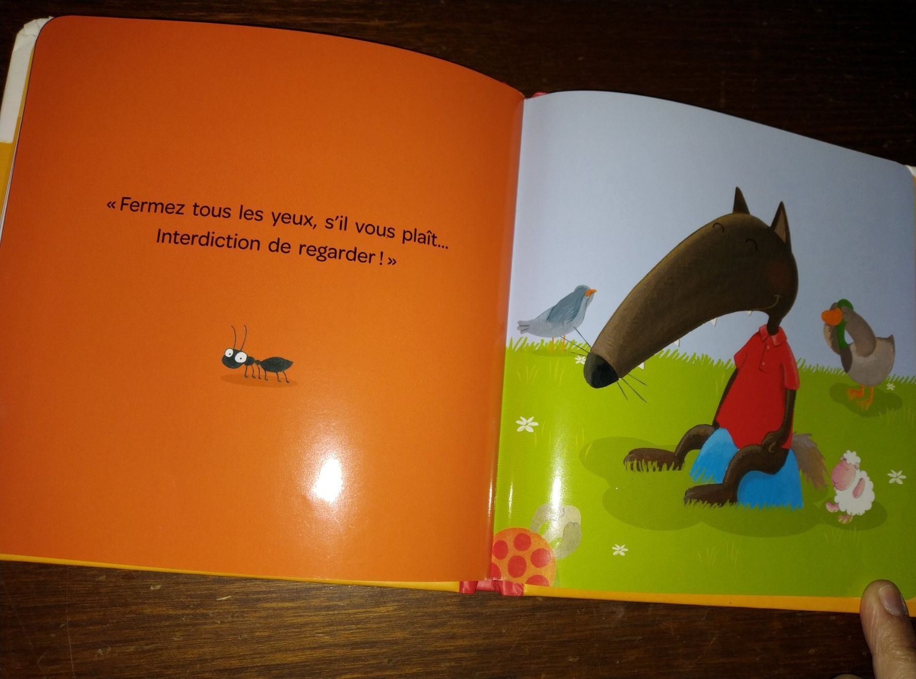 Libri: P'tit loup va sur le pot – Usato da Cortaillod venduto da rozinna 8