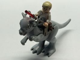 LEGO Star Wars First/Snowtrooer auf Tauntaun Figur!