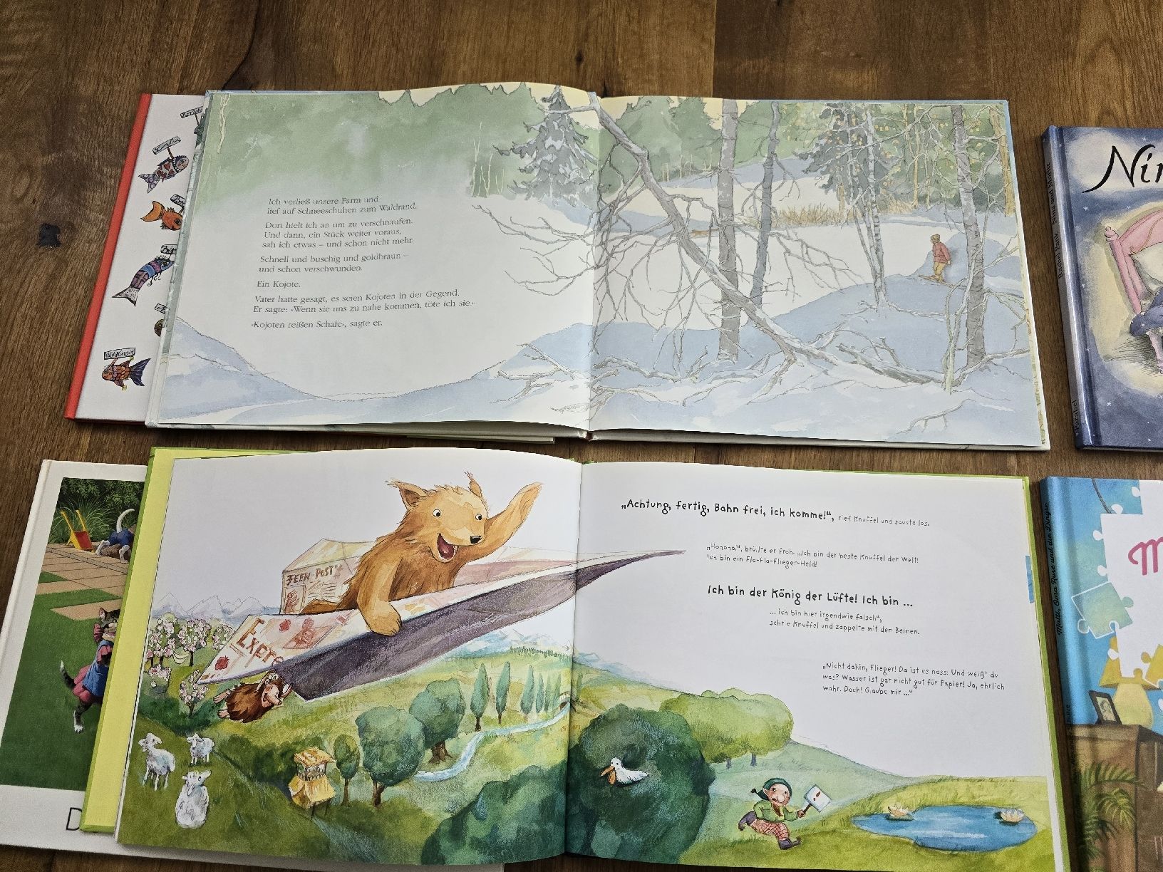 Livres: bücher set – D'occasion à Wittenbach par Tigerlili 1