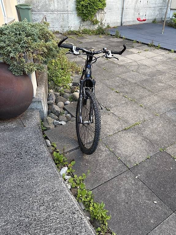 Biciclette: Univega Hardtail Mountainbike – Usato da Luzern venduto da dfr_dx5r 1