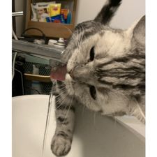 Profile image of jul_nm2n