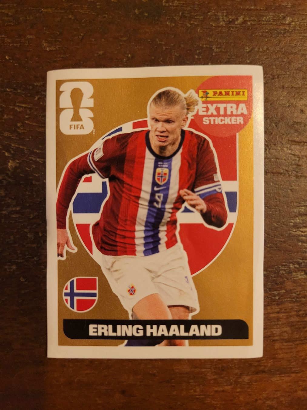 Panini Carte collezionabili: Panini Extra Sticker Haaland Gold – Nuovo (secondo la descrizione) da St. Gallen venduto da snj_7nkc