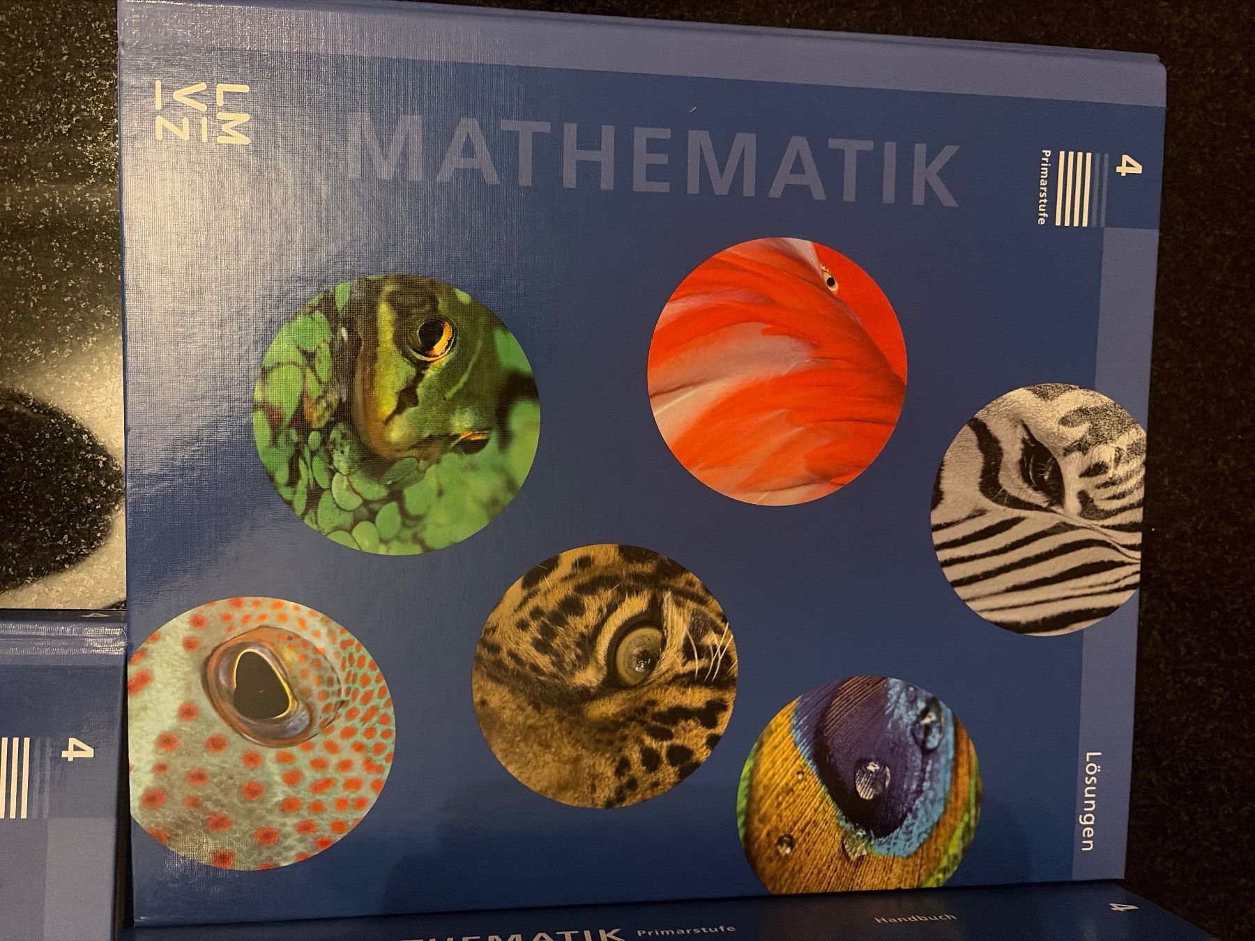 Bücher: Mathe Primarstufe Buch 4 Lehrmittel LMVZ – Gebraucht aus Küsnacht ZH von vbo_qsq5 2