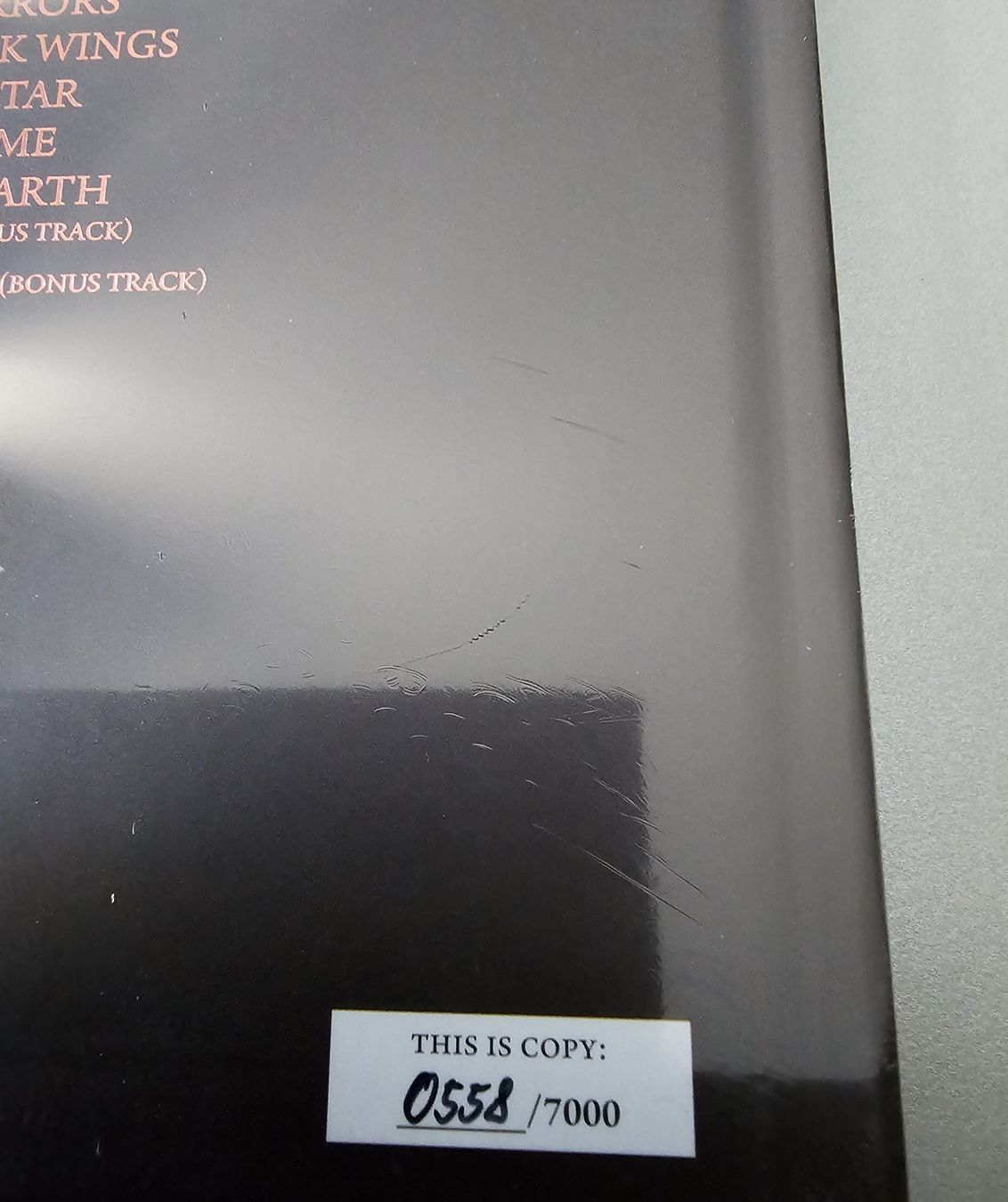 Dischi in vinile: Arch Enemy - Deceivers - LTD. Deluxe 2LP + CD Artbook – Nuovo e nell'imballaggio originale da Lenzburg venduto da Pa_hcs 3