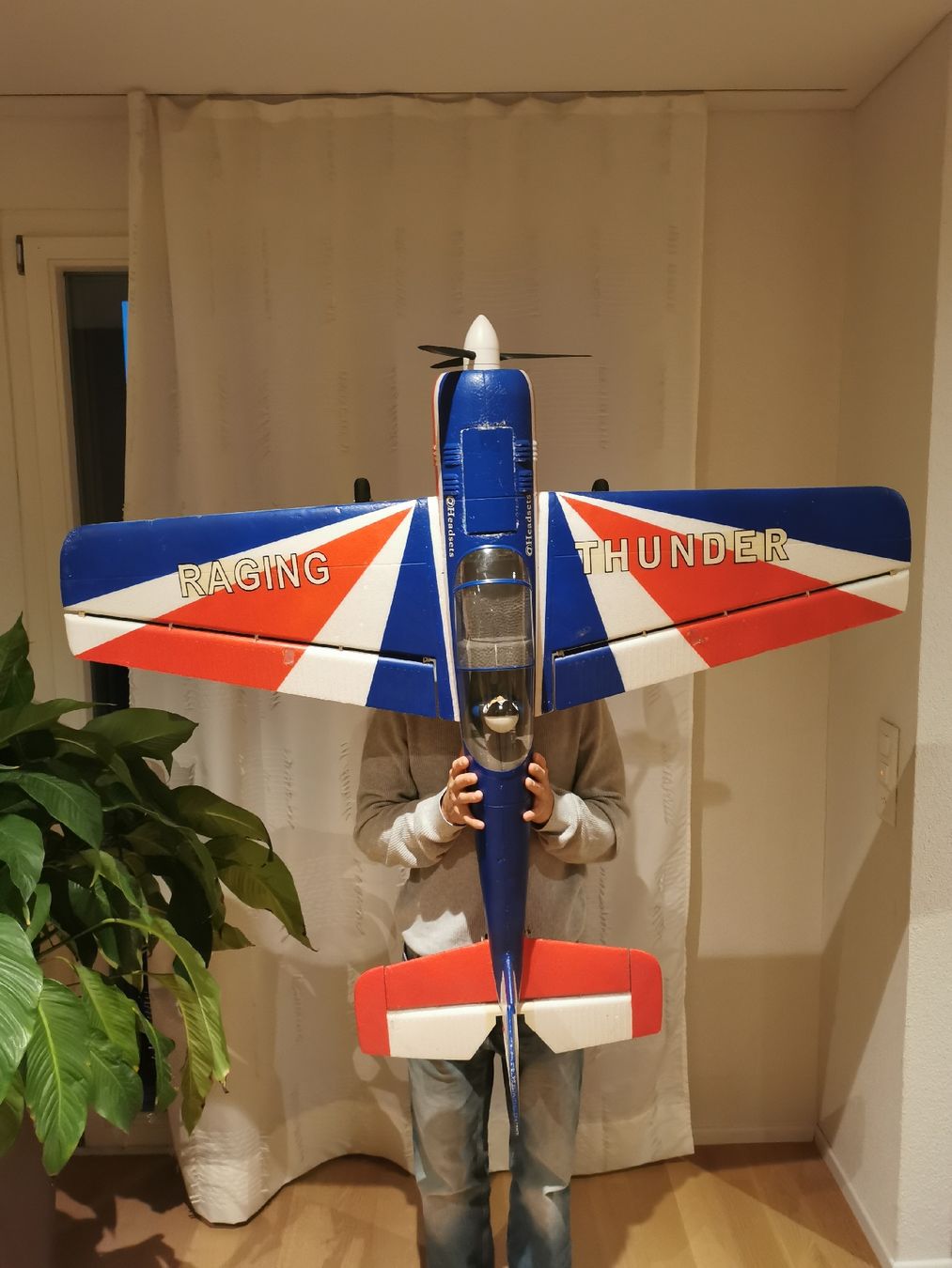 FMS Modellismo RC: FMS Yak 54 Raging Thunder – Usato da Oberwil-Lieli venduto da mik_ypt6 6