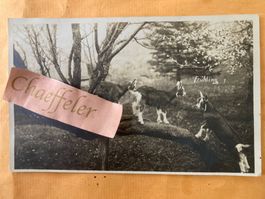 1927. Frühling 7 Ansichtskarte mit