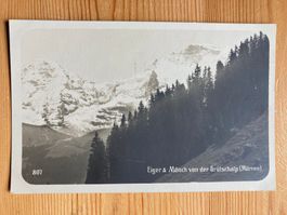 Eiger & Mönch von der Grütschalp (Mürren) - AK 1896