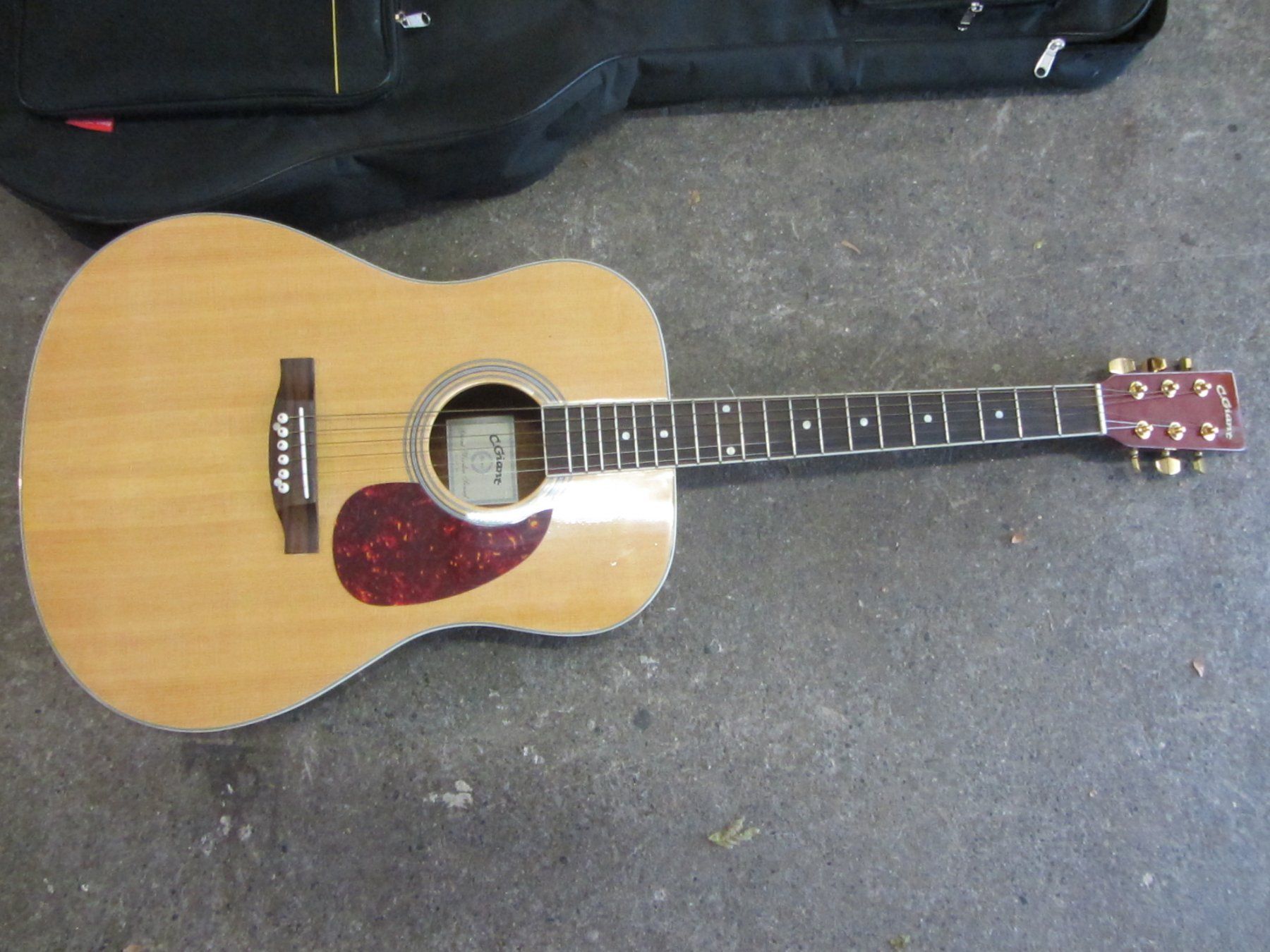 C.Giant Musikinstrumente: C. Giant Gitarre – Gebraucht aus Zürich von bigboss 8