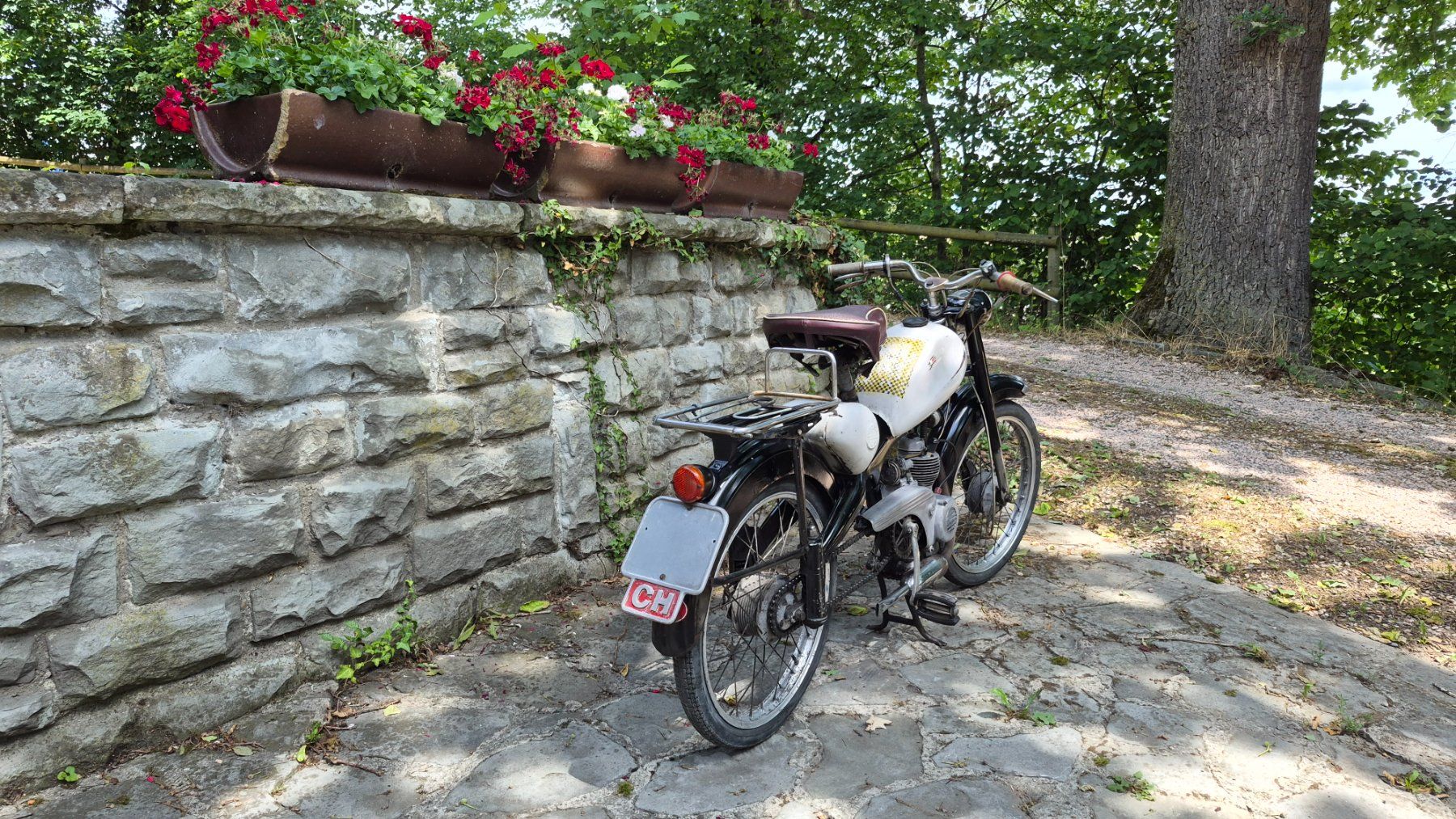 Motom Strada: Motom Superelle 48 L – Usato da Buhwil venduto da Donron0 1