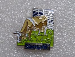 Ansteckpin 253: Sarnafil