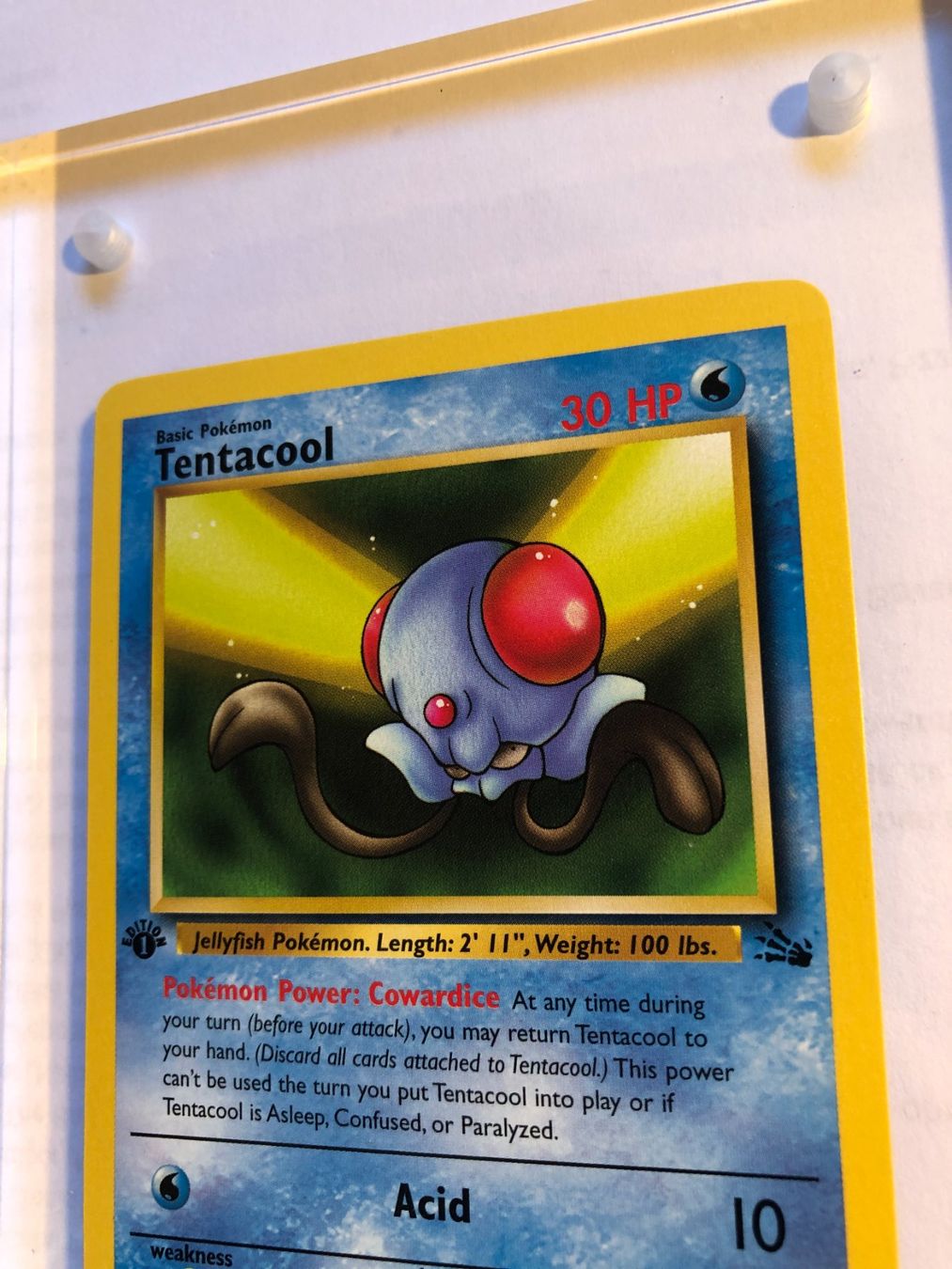 Carte collezionabili: Tentacool 1st Fossil - MINT - ab 1.- – Usato da Giubiasco venduto da dan_pr8b 3