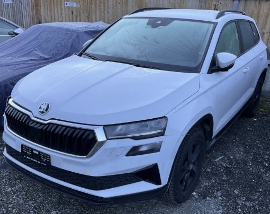 Skoda Automobili: Skoda Karoq 2.0 TDI – Usato da Rosshaussern venduto da Marcelka28 6
