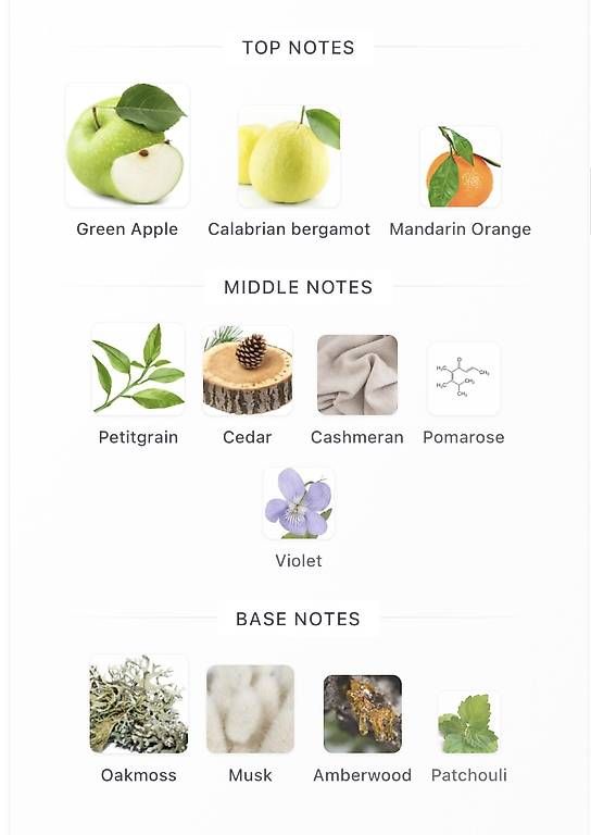 Parfums & Eau de Toilette: Pdm greenly 125 ml edp – Neuf avec emballage d'origine à Brugg AG par OLFACTO_PRIVE 3