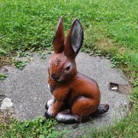 Hase