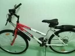 Velo- Mountainbike