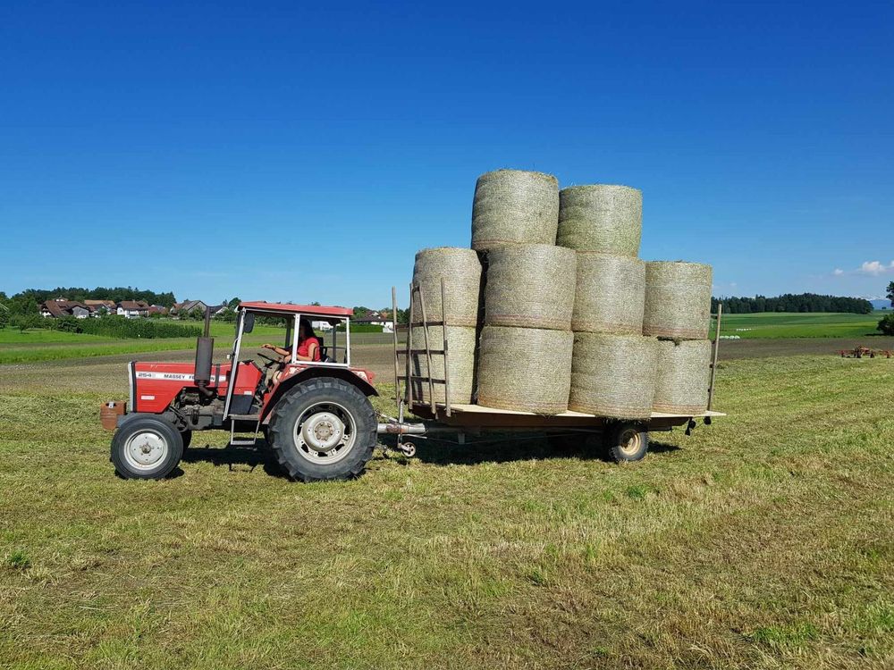 Brückenwagen, Anhänger An Traktor, Holzwagen 