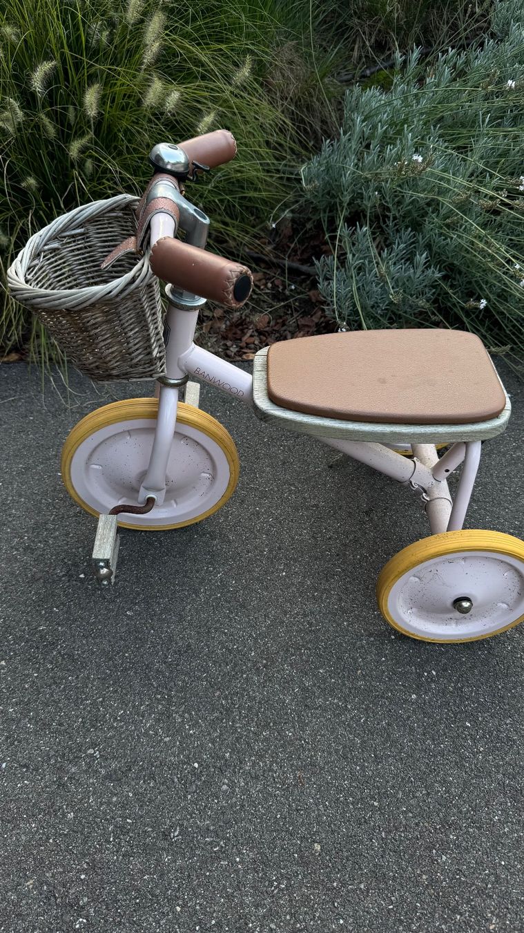 Veicoli per bambini: Kleinkindervelo mit Korb – Usato da Basel venduto da VIO100 1