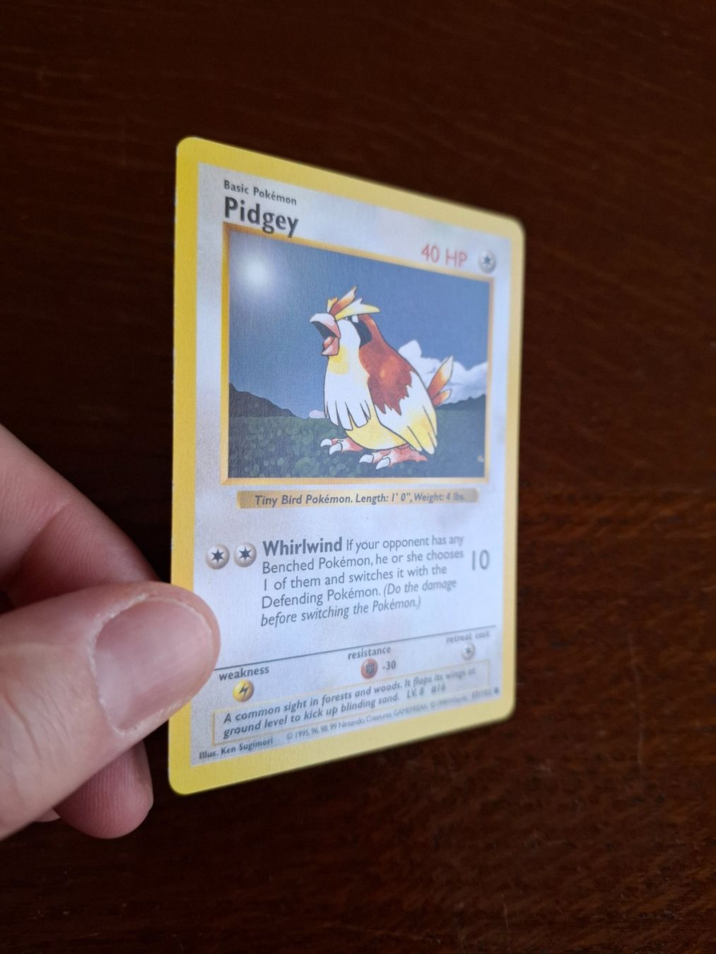 Pokémon Cartes à collectionner: Pokemon Pidgey Base Set Shadowless 57/102 – D'occasion à Giornico par ale_lc8k 2