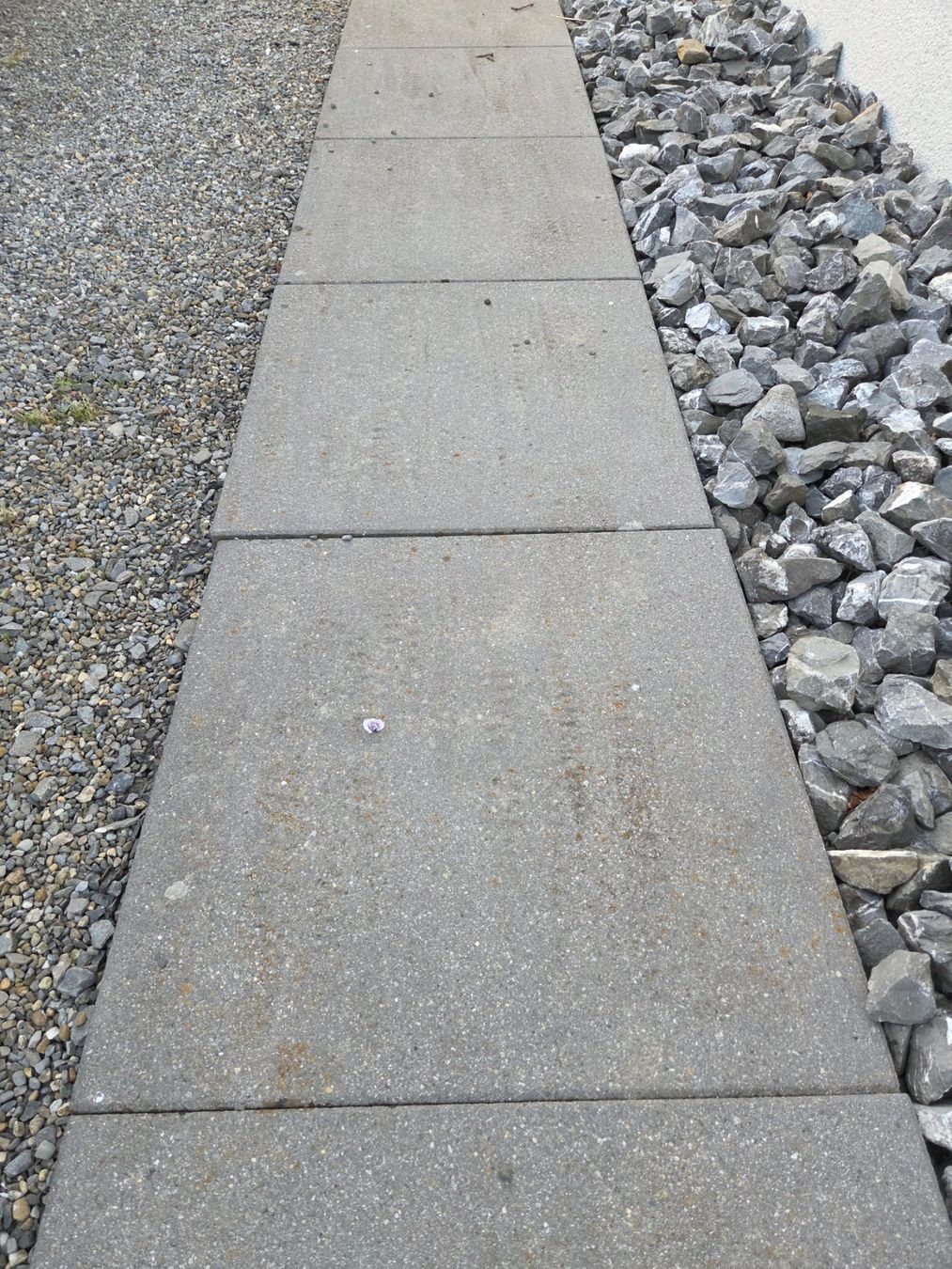 Piatti di portata: Gartenplatten – Usato da Schlierbach venduto da Middland 1