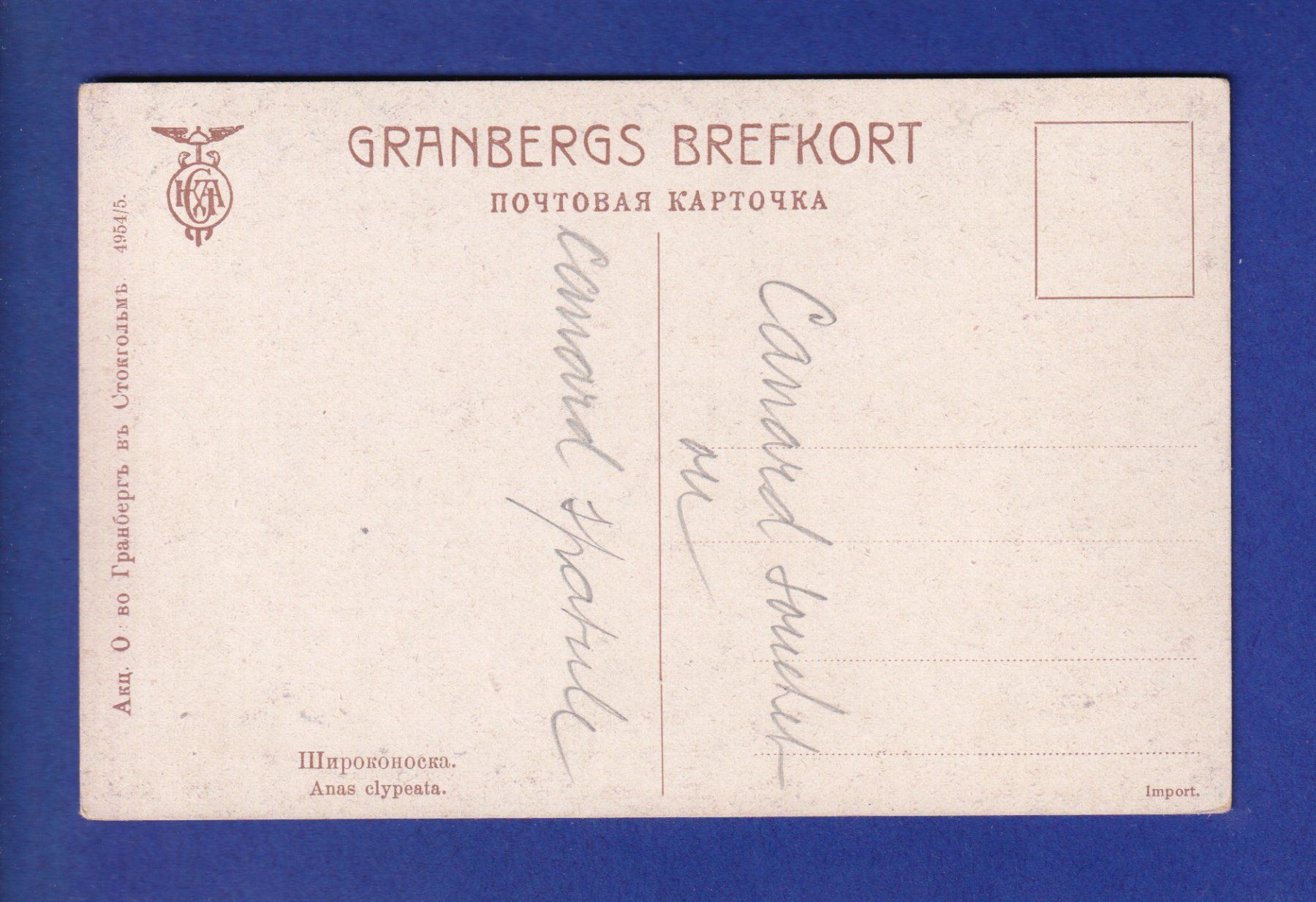 Ansichtskarten: OISEAU - Canard – Gebraucht aus Pully von nicecards-shop 1