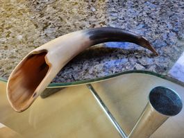 Horn