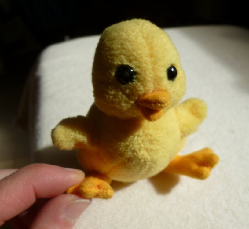 Ente Plüsch Tierli Mini Entli BABY Küken milou (Gebraucht) in Dättlikon ...