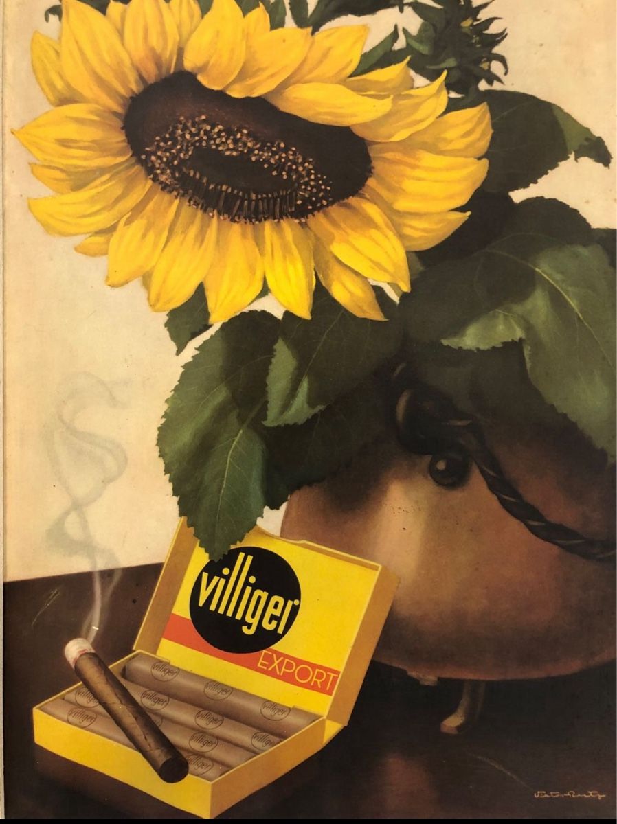 Villiger Sigari: Antik Bilder Zigarren Villiger – Usato da Seuzach venduto da Wolf936 7