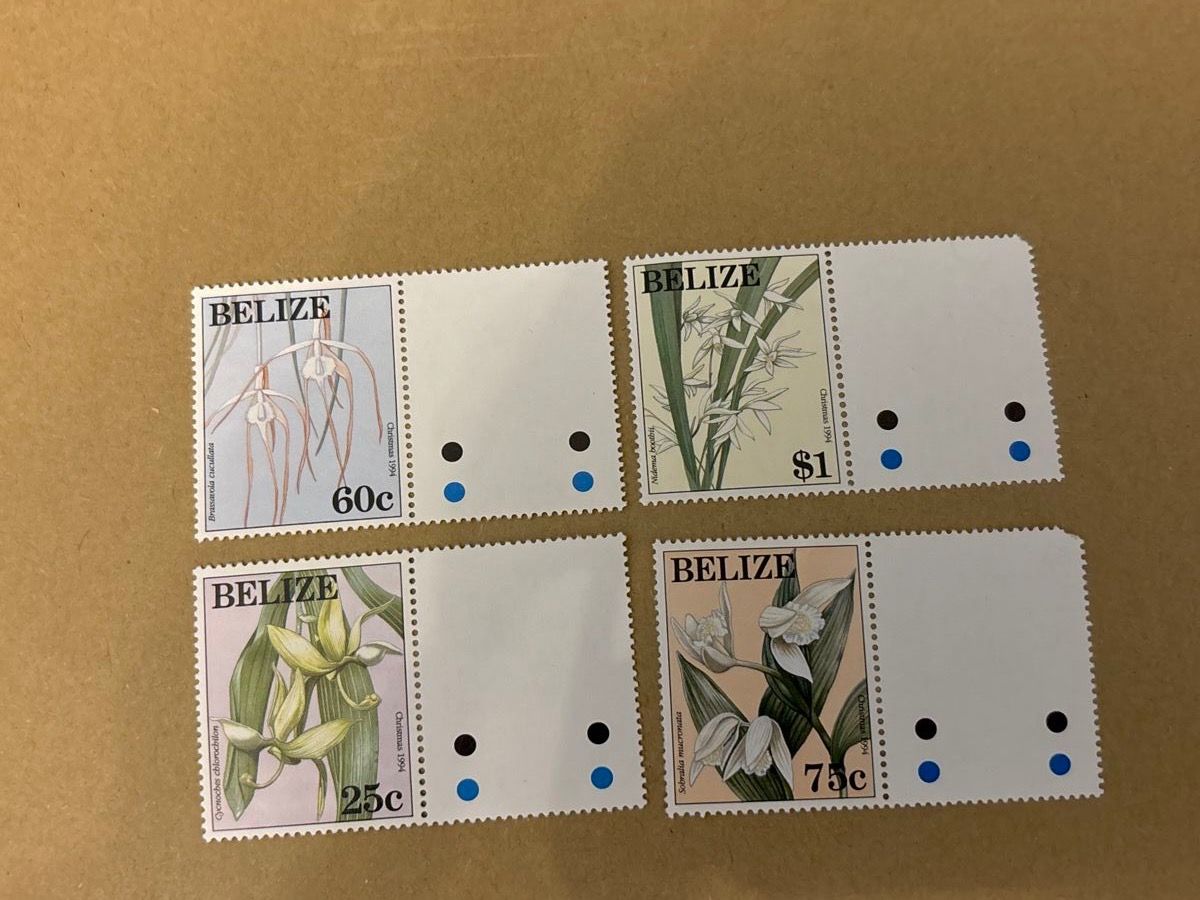 Tutti i francobolli: 4 Belize Orchideen Briefmarken – Nuovo e nell'imballaggio originale da Zürich venduto da engebrunau