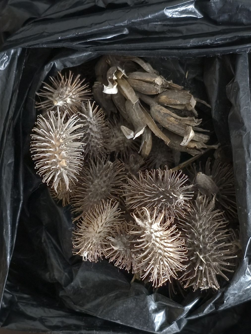 Tutte le decorazioni: Dekomaterial, diverses aus Naturmaterialien – Usato da Morschach venduto da Monikawi 4
