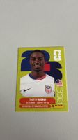 Carte panini 2026 - USA 12