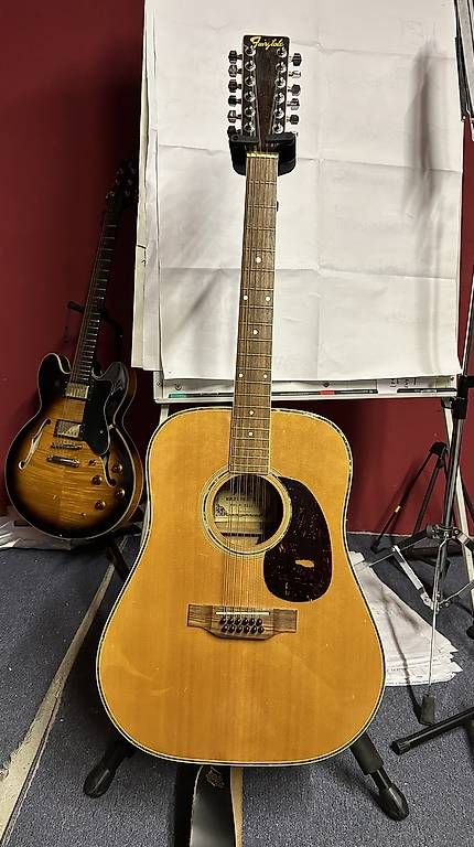 Strumenti musicali: fairytale 12-string western guitar – Usato da Basel venduto da mentaltrap 2