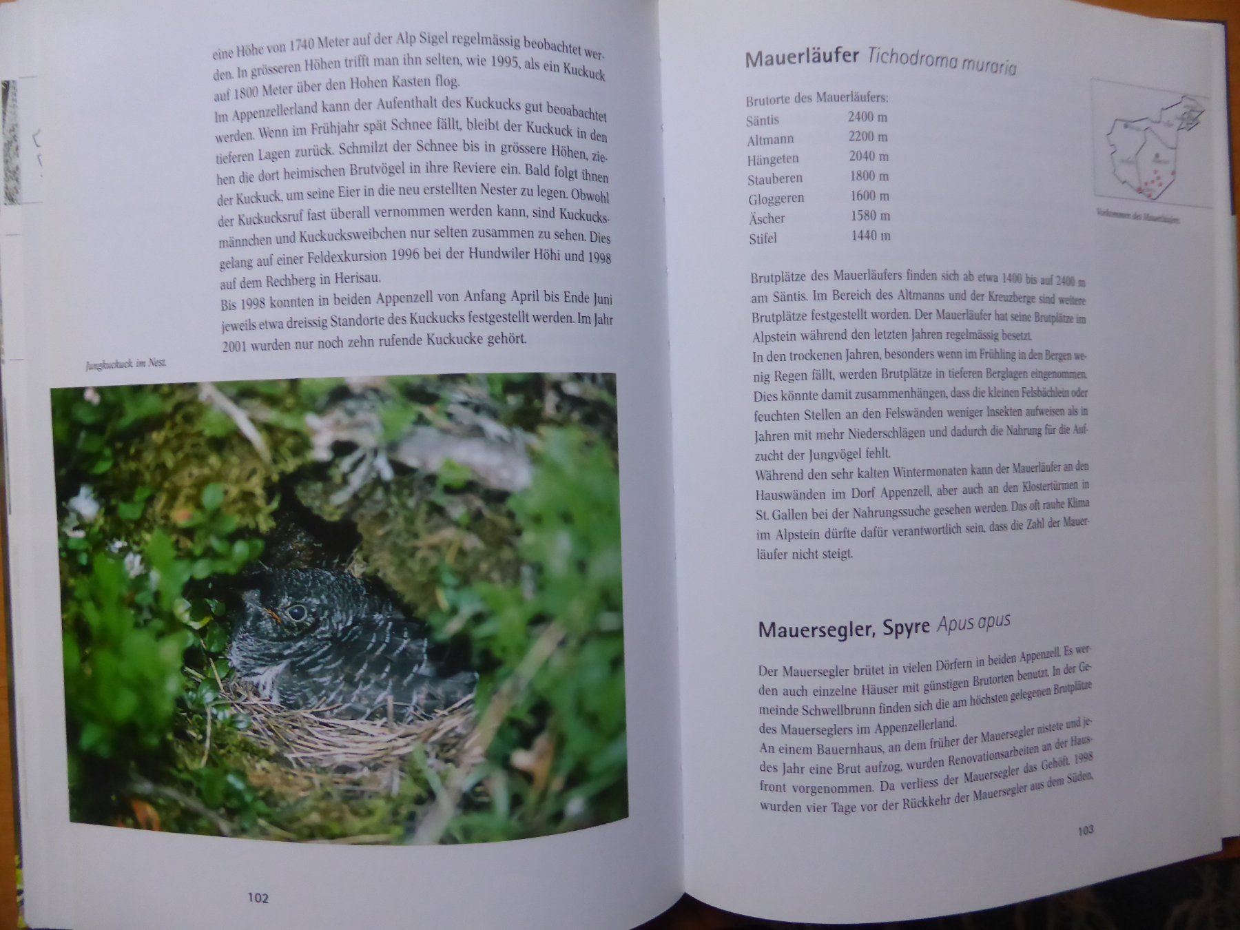 Bücher: Vögel im Appenzellerland – Neu (gemäss Beschreibung) aus Brunnadern von lesezirkel 4
