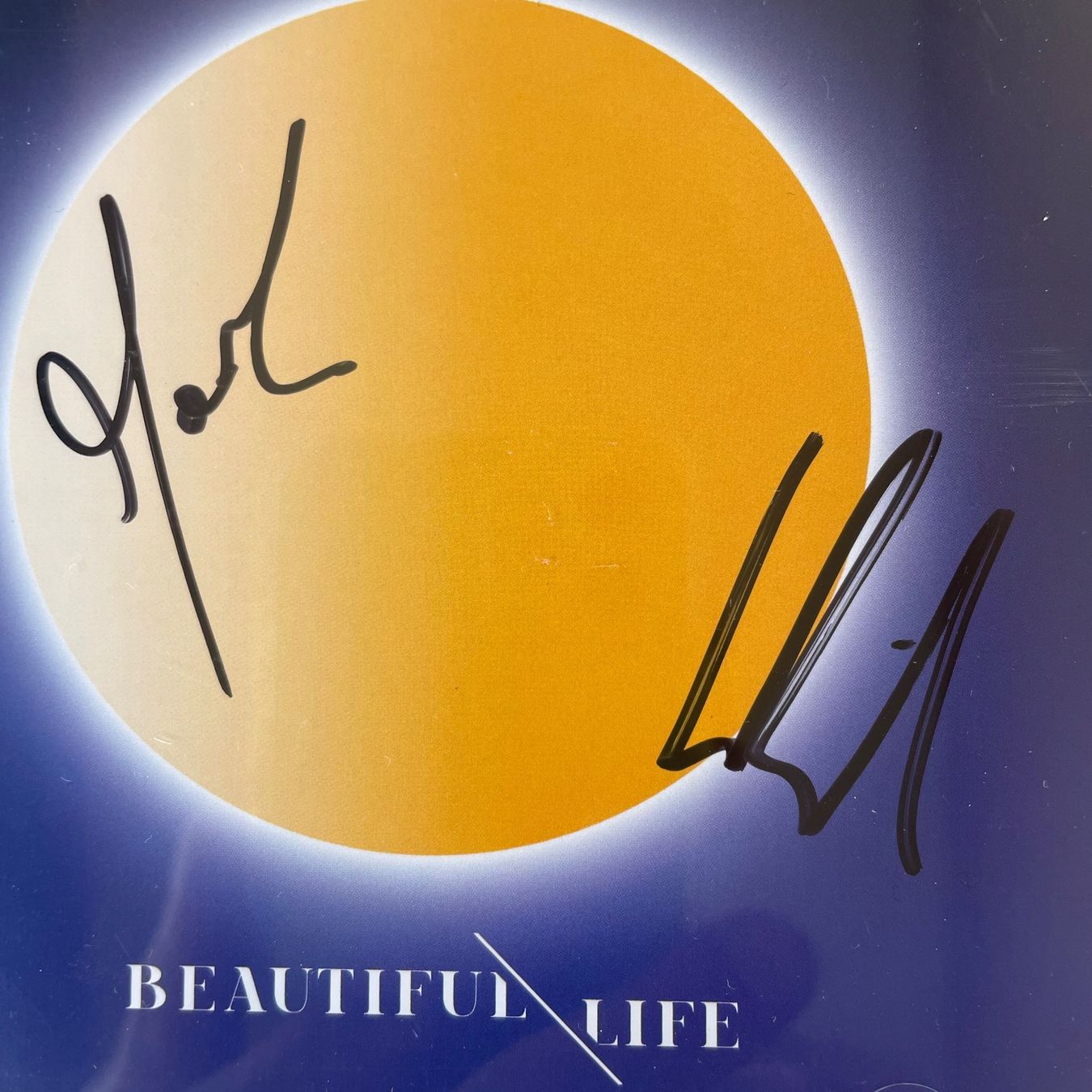 CD: PEGASUS-MIT UNTERSCHRIFTEN BEAUTIFUL LIFE – Usato da Rorschacherberg venduto da CD-Roli 1