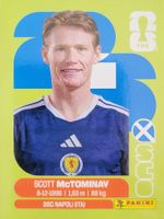 Panini FIFA World Cup SCO 11