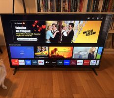 LG TV 55 Zoll