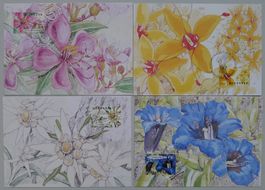 2001, Nr.1029-1032 auf 4 Maximum-Karten (Singapur/CH) BLUMEN