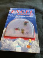 Engel Unterwegs *Geschichten von geflügelten ....