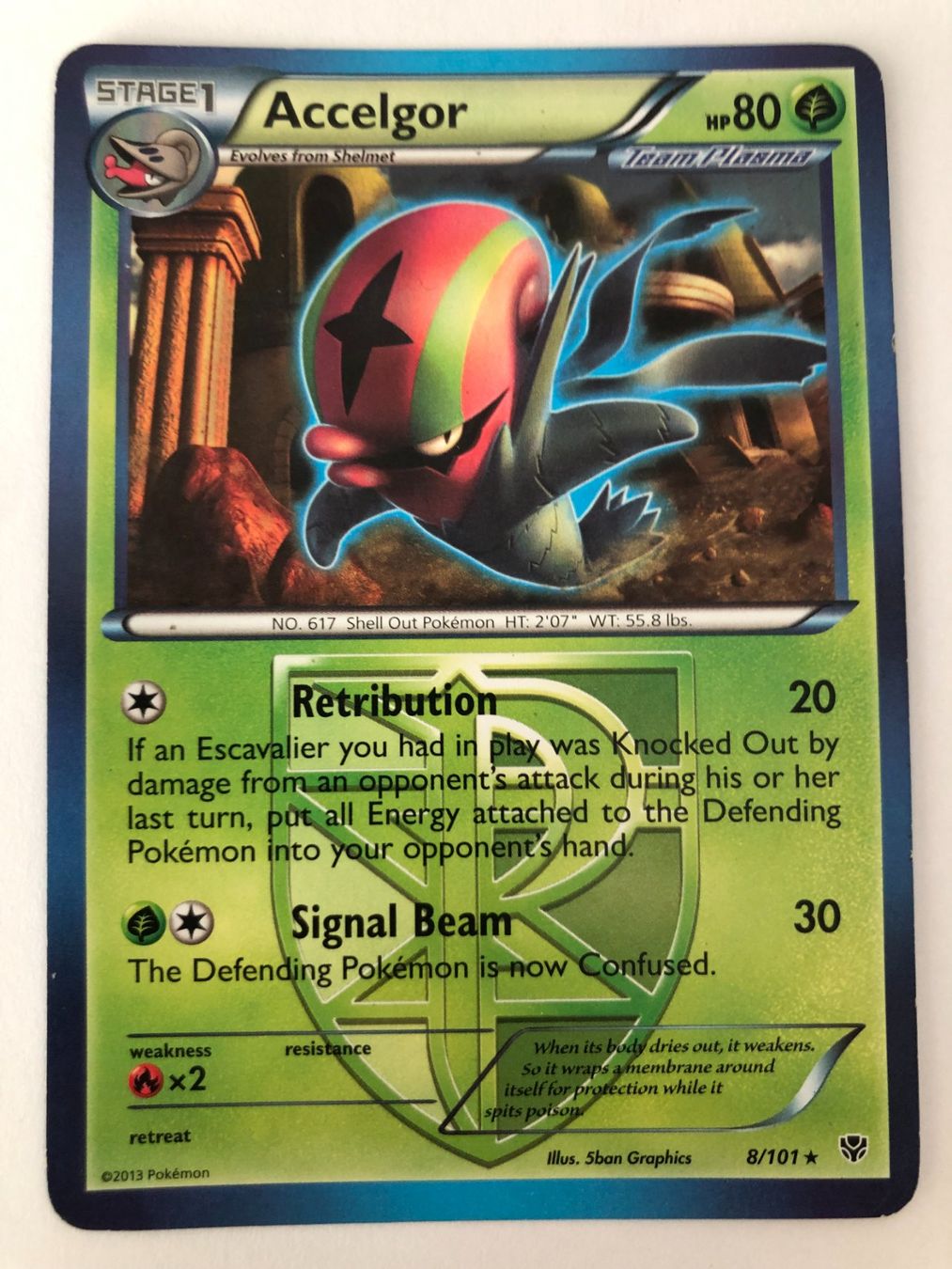 Pokémon Carte collezionabili: Accelgor - Plasma-Blaster - Pokemon – Usato da Nussbaumen AG venduto da Bika-Shop