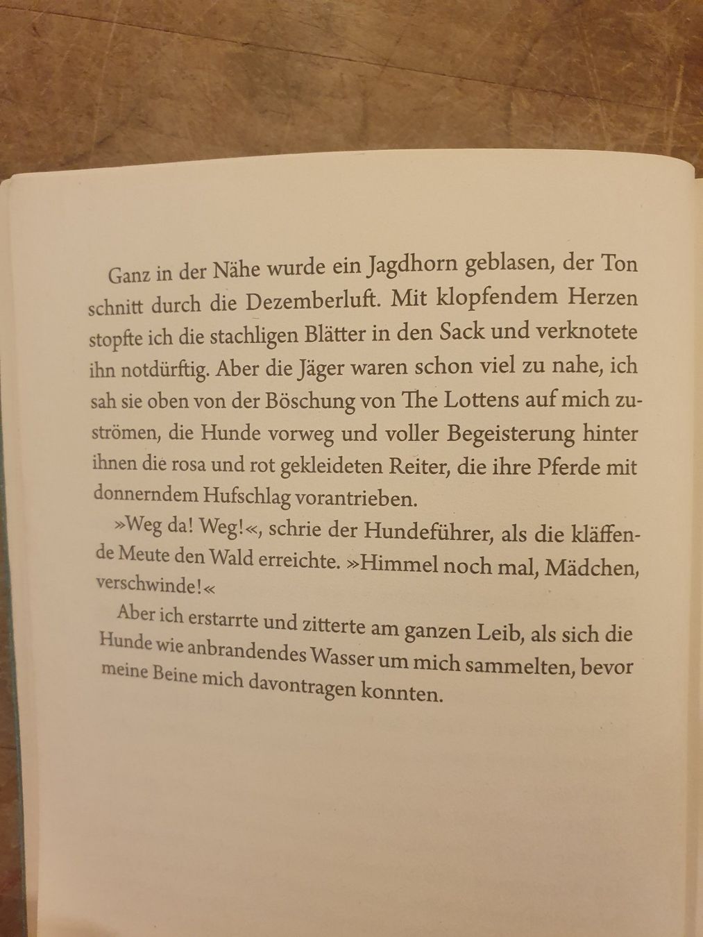 Libri: Vom Ende eines Sommers - Melissa Harrison - Dumont – Usato da Zürich venduto da loosebone 5