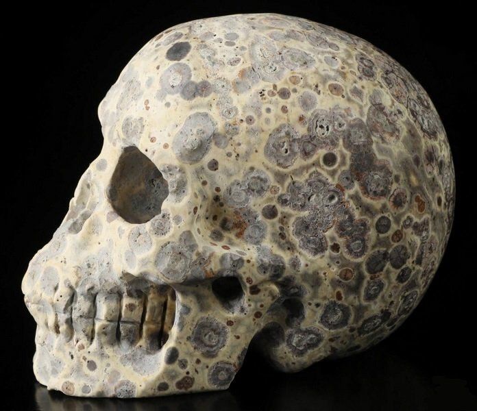 Minerali & Pietre curative: Asteroiden Jaspis Skull – Nuovo (secondo la descrizione) da Walenstadt venduto da vkt_qc8d 3