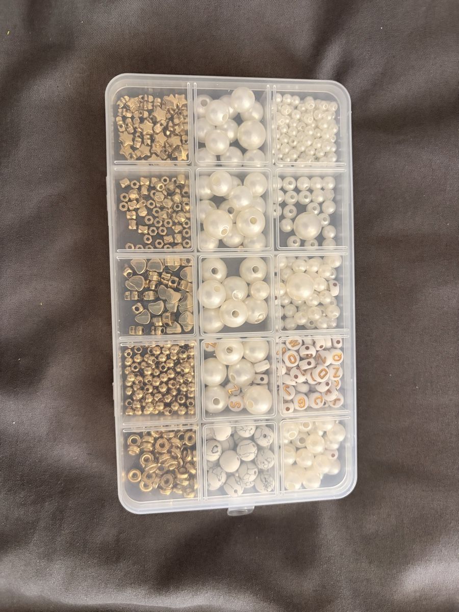 Kit bricolage: Bastelperlen Set mit Sortierbox verschiedene Formen 15 Fäche – Usato da St.Gallen venduto da rslalfs