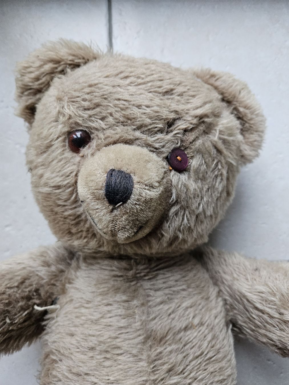 Giocattoli: Teddybär antik - Bär 76 cm – Usato da Haslen GL venduto da Sandra40 1