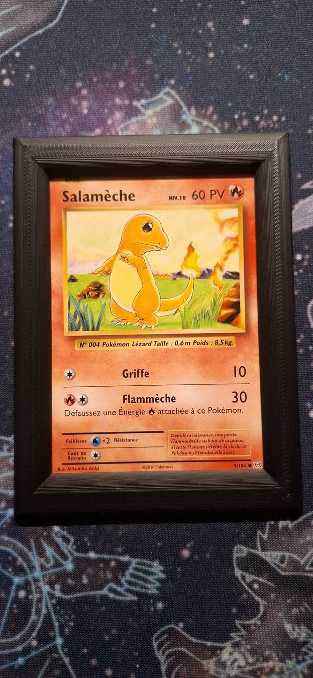 Pokémon Carte collezionabili: Salameche 9/108 - Evolutions FR – Nuovo (secondo la descrizione) da Petit-Lancy venduto da Kara_TCG