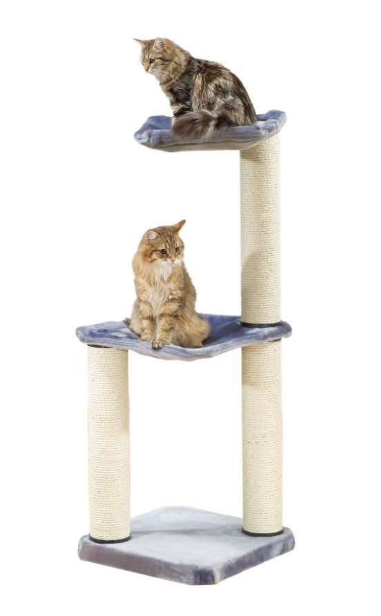 Tiragraffi: Kratzbaum Katze – Usato da Emmenbrücke venduto da reo_q9ku 1
