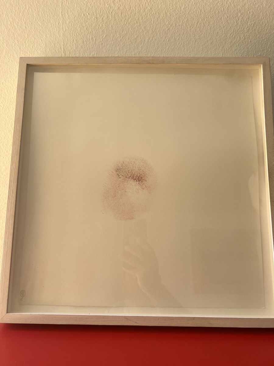 Dipinti: Brigid Polk Tits Paunting original – Usato da Zürich venduto da jao_2bx7 6