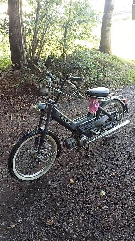 Puch Ciclomotori: Puch maxi N – Usato da Ballwil venduto da moggi75 3