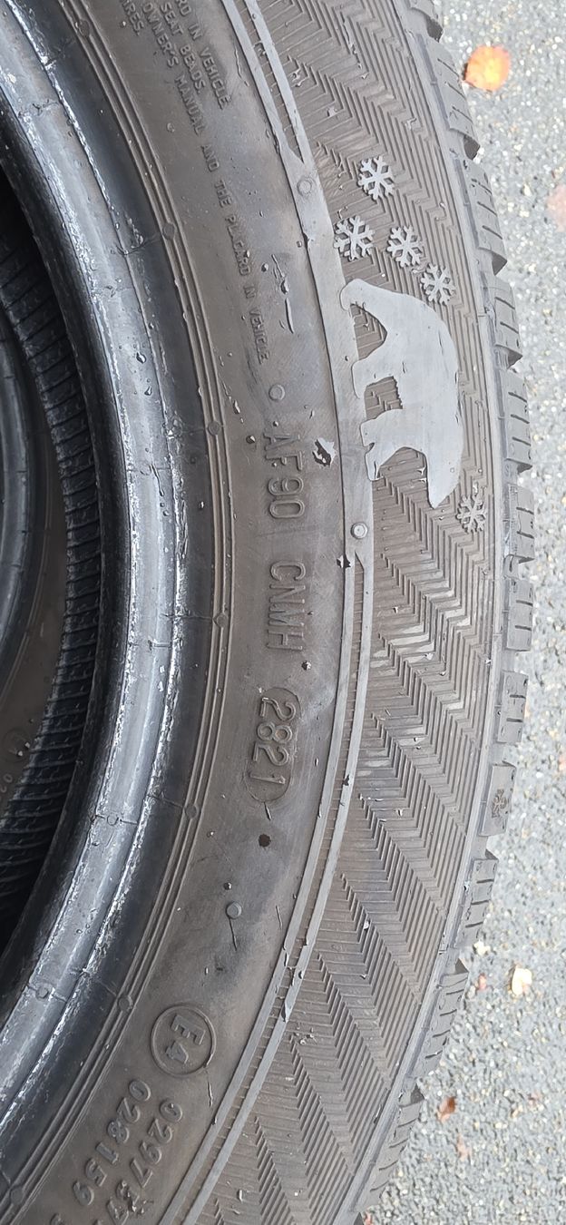 Pneumatici & Ruote complete: Winterpneu 185/60/R15 M+S – Usato da herzogenbuchsee venduto da jamma01 4