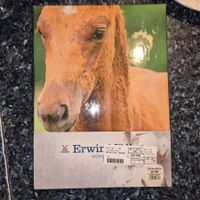 Bettwäsche mit Fohlenmotiv